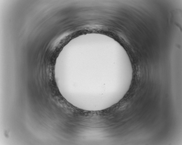 X0000102301016200808152012