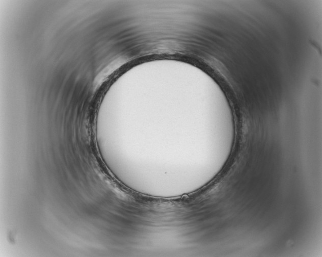 X0000102301018200808152012