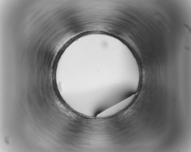X0000102301020200808152012
