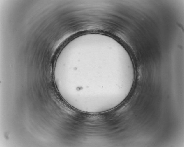 X0000102301021200808152012