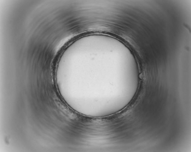 X0000102301022200808152012