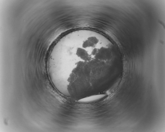 X0000102301023200808152012