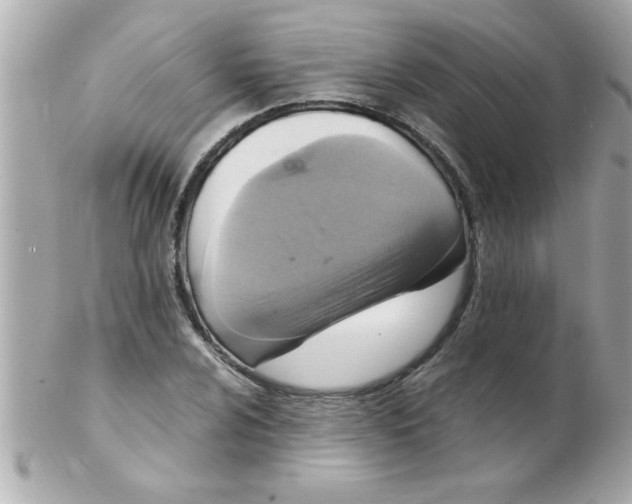 X0000102301024200808152012