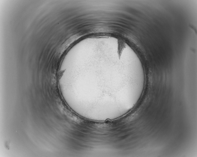 X0000102301025200808152012