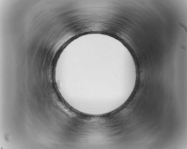 X0000102301026200808152012