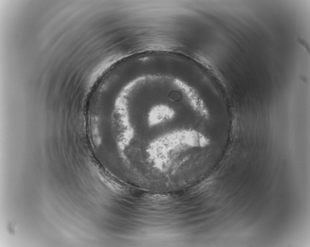 X0000102301027200808152012