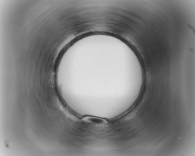 X0000102301029200808152012