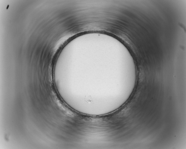 X0000102301030200808152012