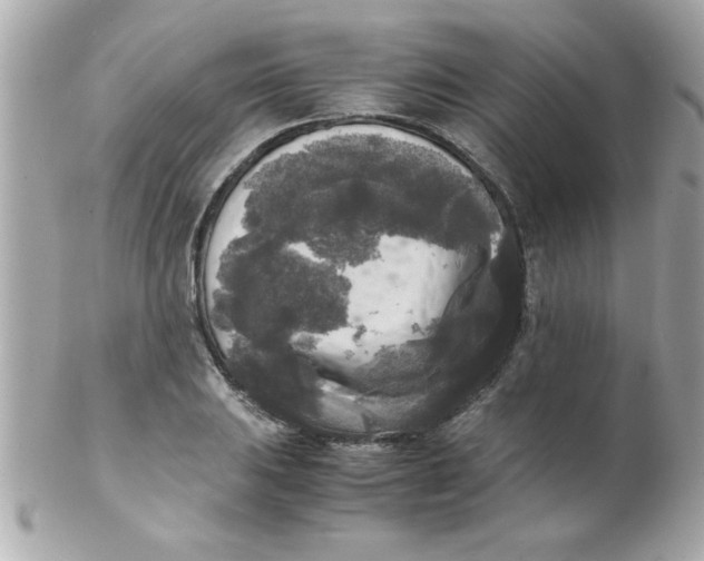 X0000102301031200808152012