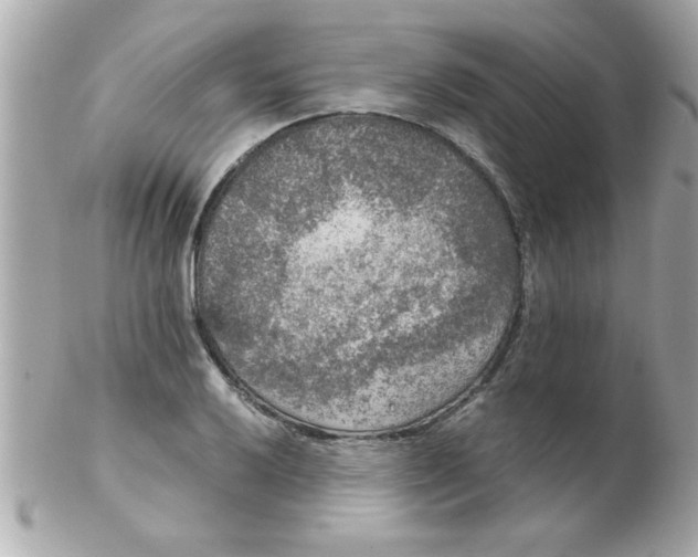 X0000102301032200808152013