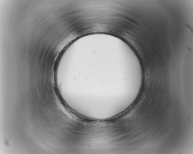 X0000102301034200808152013