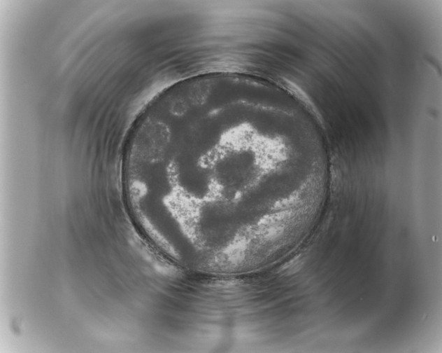 X0000102301035200808152013