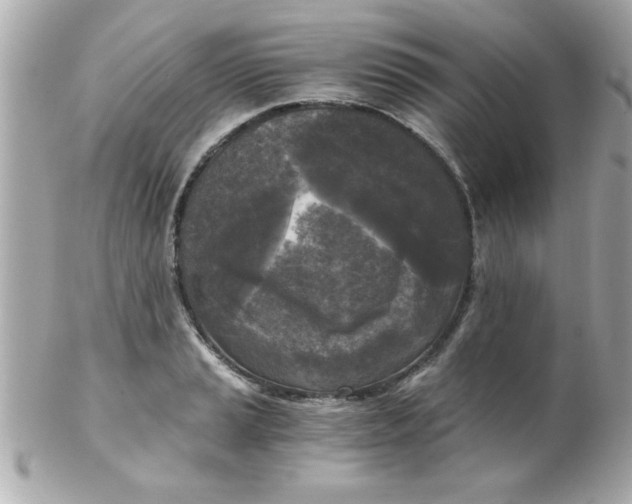 X0000102301037200808152013