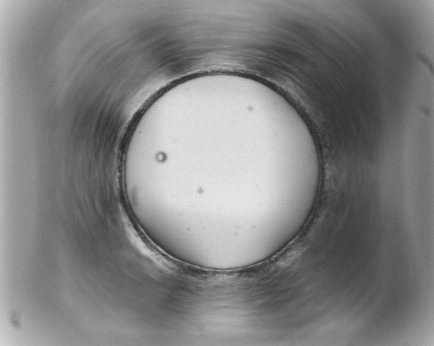 X0000102301038200808152013