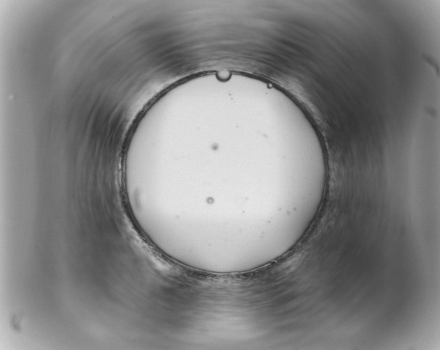 X0000102301040200808152013