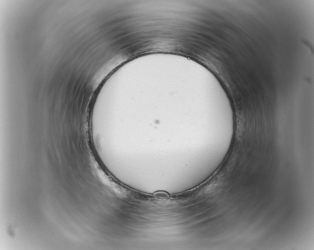 X0000102301042200808152013