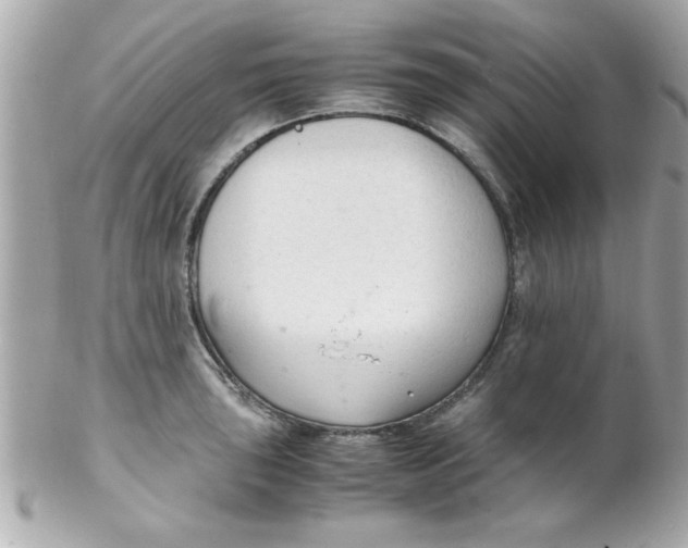 X0000102301043200808152013