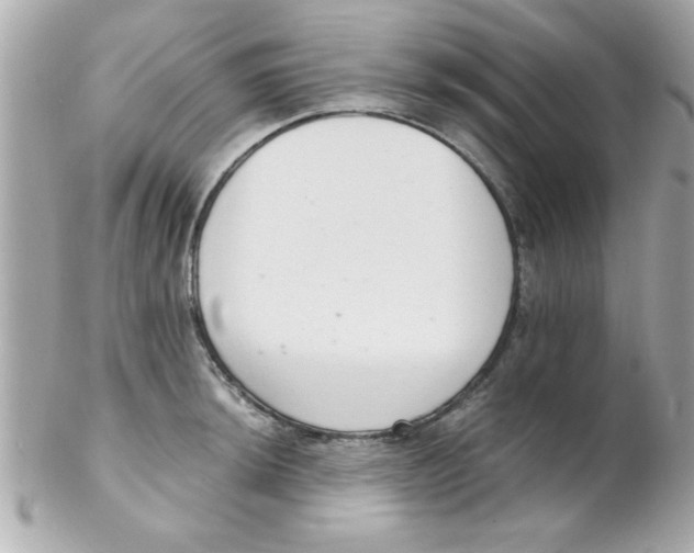 X0000102301044200808152013