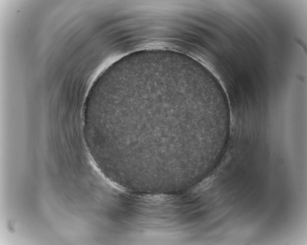 X0000102301045200808152013