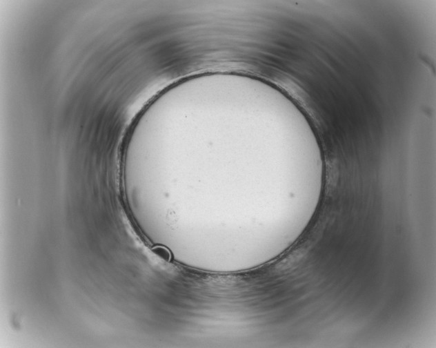 X0000102301046200808152013