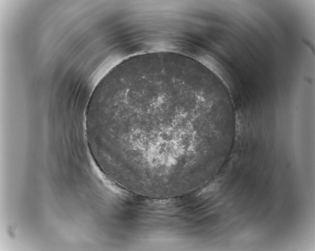 X0000102301047200808152013