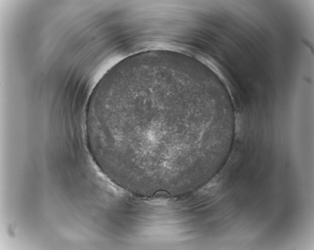 X0000102301048200808152013