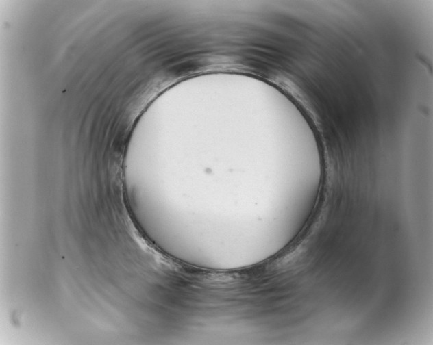 X0000102301049200808152013