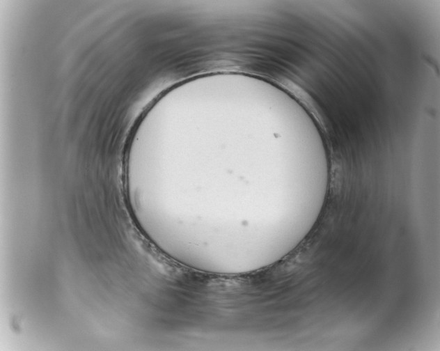 X0000102301051200808152013