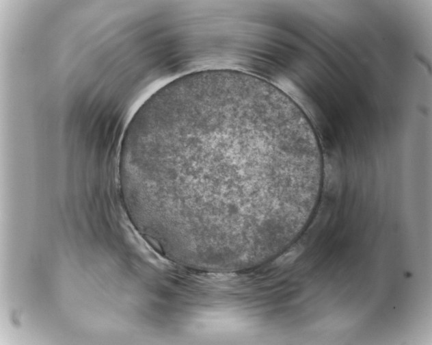 X0000102301052200808152013