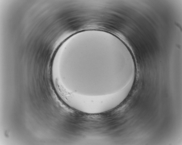 X0000102301053200808152013