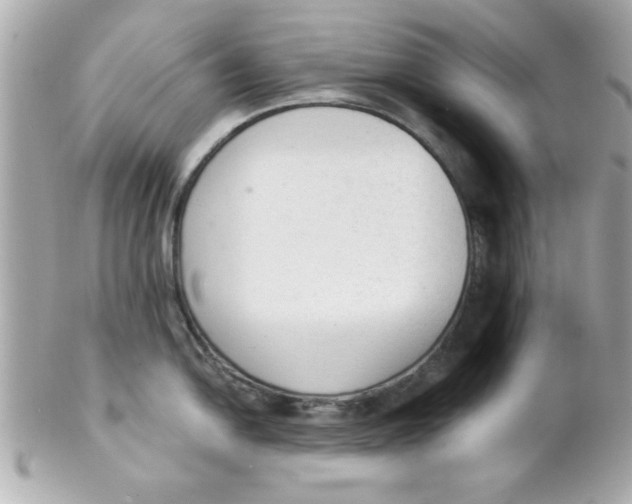 X0000102301054200808152013