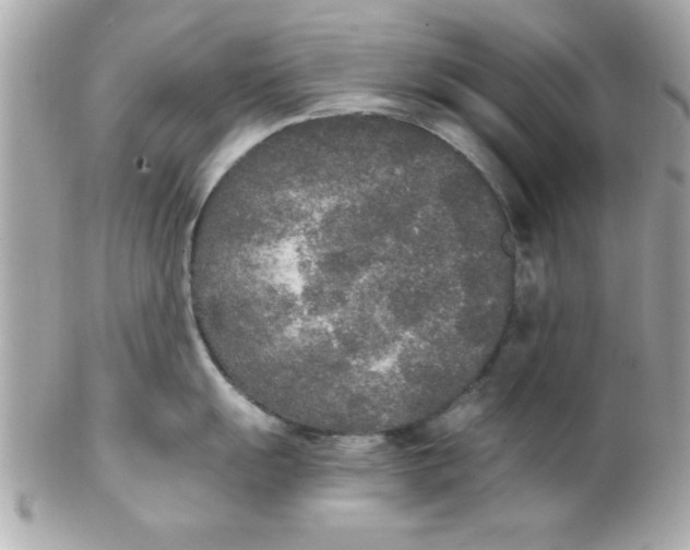 X0000102301055200808152013