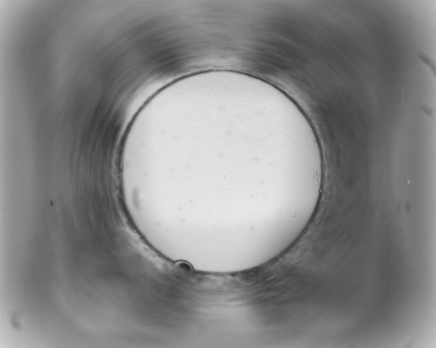 X0000102301056200808152013