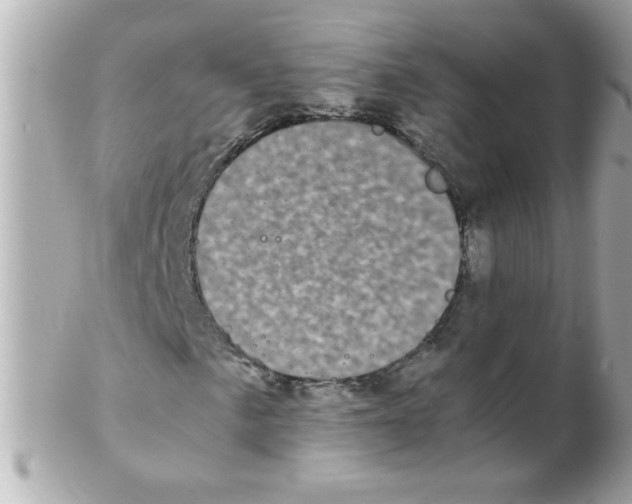 X0000102301057200808152012