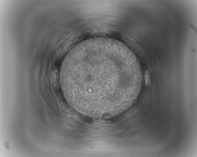 X0000102301059200808152012