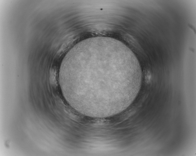 X0000102301060200808152012