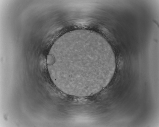 X0000102301061200808152012