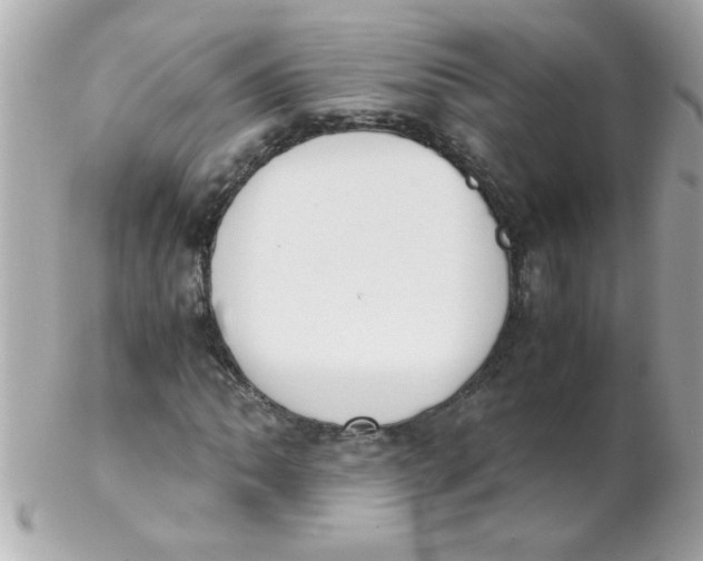 X0000102301062200808152012