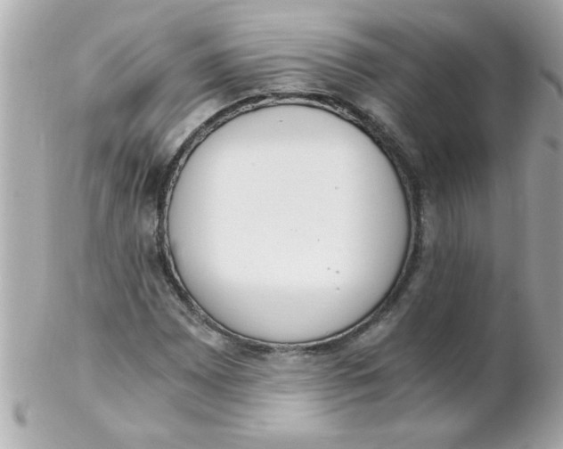 X0000102301065200808152012