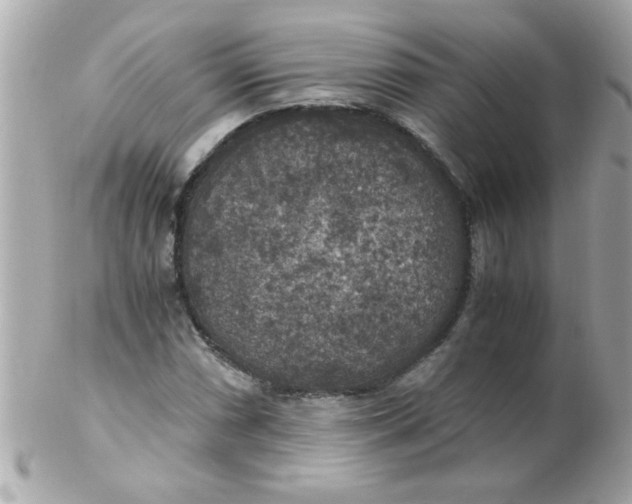 X0000102301066200808152012