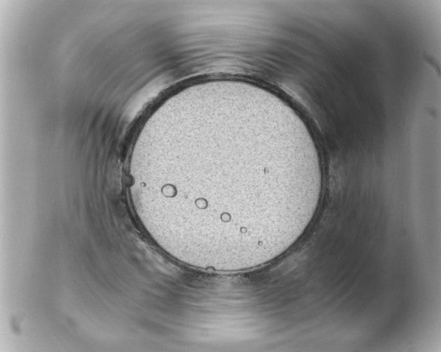 X0000102301067200808152012