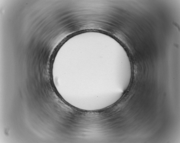 X0000102301068200808152012