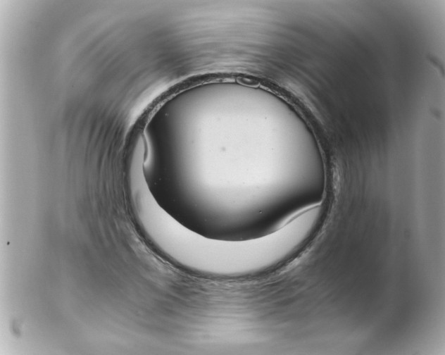 X0000102301069200808152012