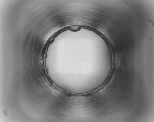 X0000102301070200808152012