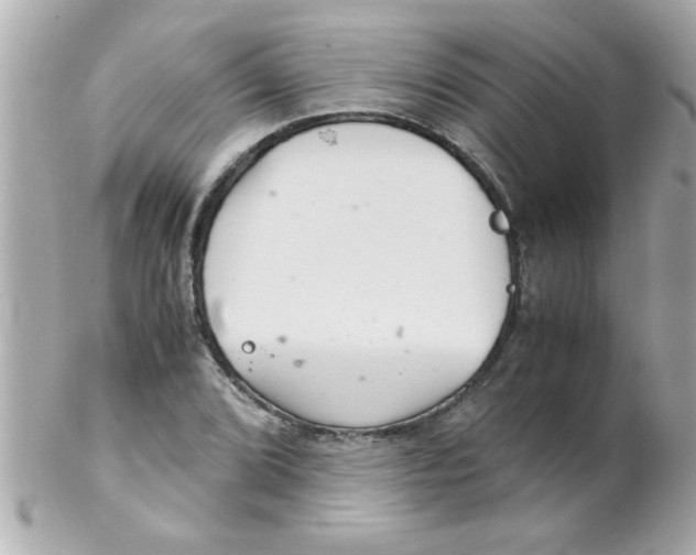 X0000102301072200808152012