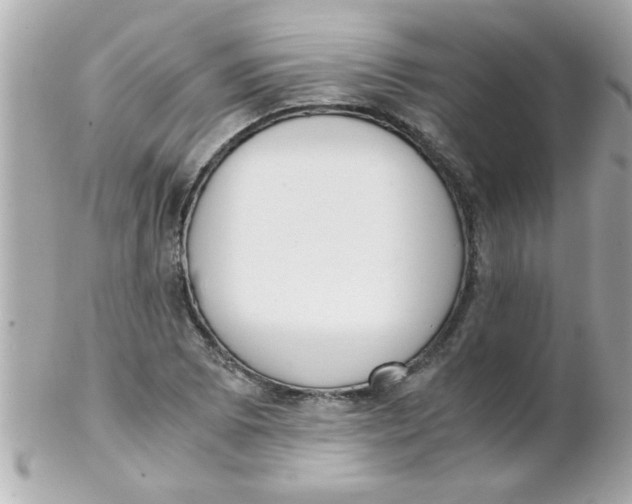 X0000102301073200808152012