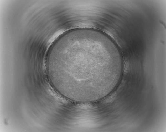 X0000102301074200808152012