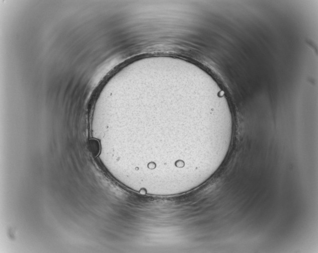 X0000102301075200808152012