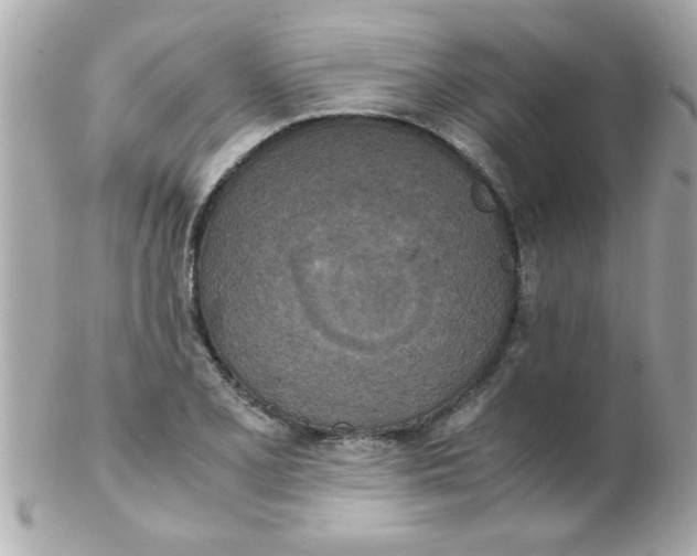 X0000102301077200808152012