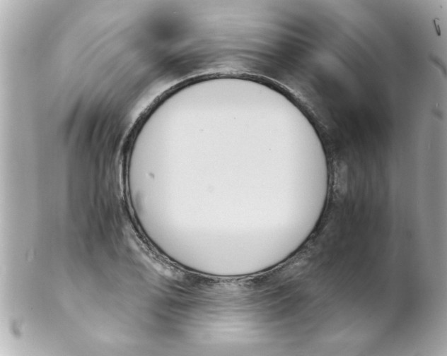 X0000102301078200808152012